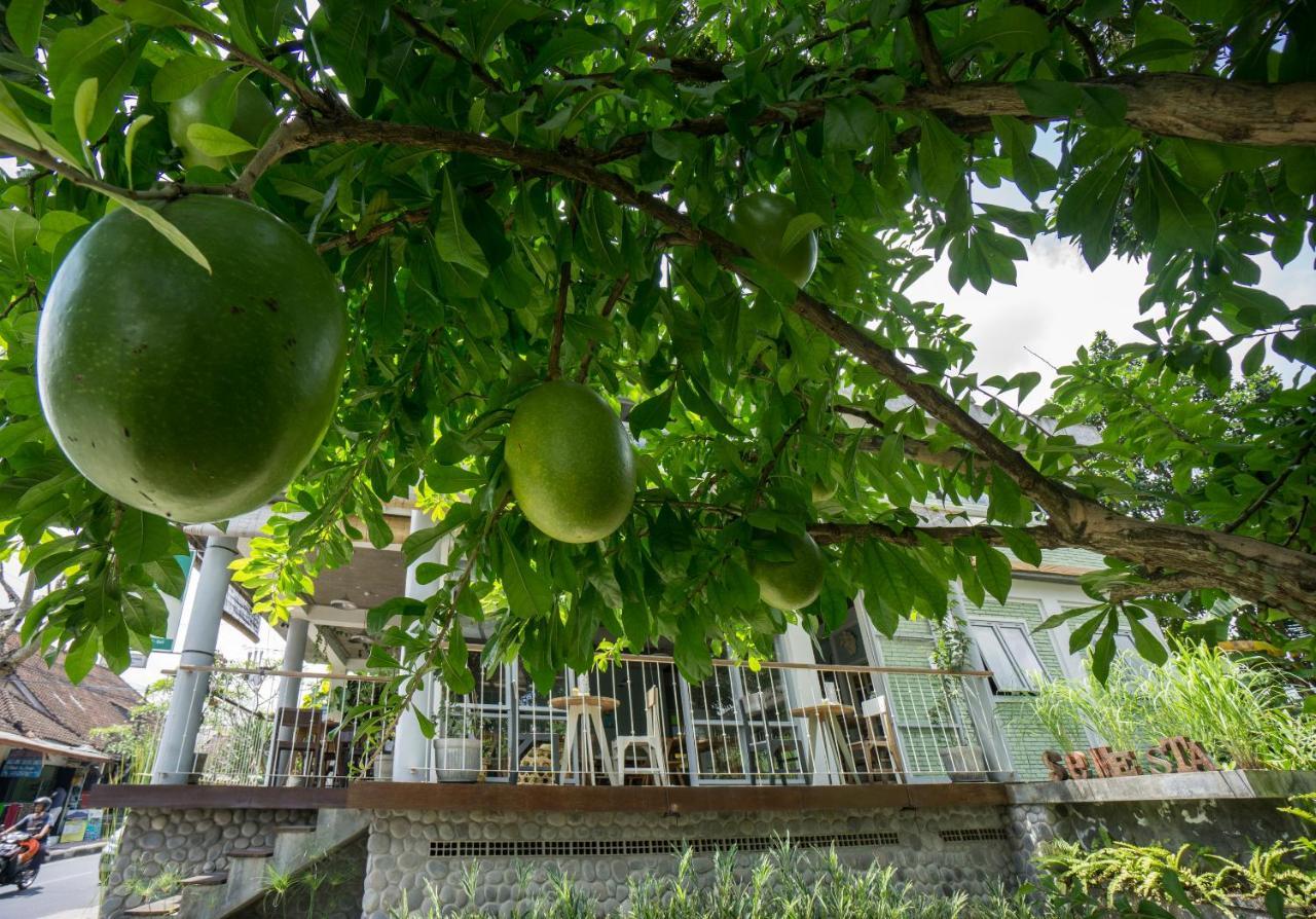 Tegal Sari Accommodation Ubud Zewnętrze zdjęcie